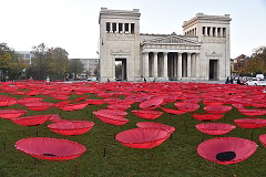 Never Again - 3.000 Mohnblumen auf dem Königsplatz